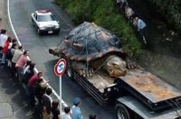 Sự thật về con rùa khổng lồ 529 tuổi 363kg