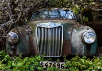 "boyclacken" những chiếc xe Độc nhất bị bỏ rơitrong rừng. từ Những năm 1950.Làm mê hoặc các Nhà sưu tầm xe cổ