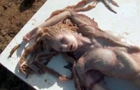 Xôn xao "xác nàng tiên cá" tìm thấy trên bãi biển
