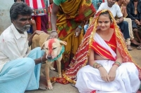 Ấn Độ Thiếu nữ 18 tuổi kết hôn với chó