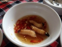 10 món ăn Việt khiến du khách rùng mình
