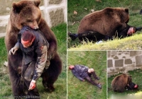 Động vật tấn công người (Đại bàng cắp đứa trẻ,gấu đánh nhau với người đàn ông) cần xem