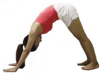 10 động tác yoga cơ bản cho người mới bắt đầu tập