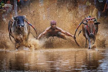 Thế giới kỳ vĩ qua ảnh dự thi của National Geographic