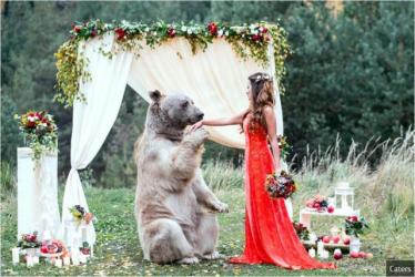 Gấu "cử hành" hôn lễ cho đôi trẻ