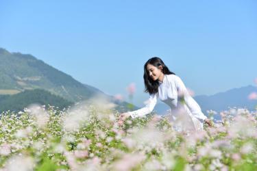Cô gái mặc áo dài xinh ngất ngây đứng bên đồi hoa tam giác mạch - Bạn đã lùng ra danh tính?