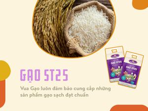 Gạo ST25 là gì? Vì sao gạo ST25 trở thành xu hướng của nhiều nội trợ Việt