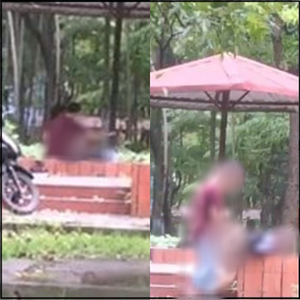 Khu đô thị Định Công: Dân mạng bức xúc với cặp đôi vô tư 'mây mưa' trong công viên lúc sáng sớm