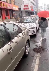 Kinh dị cảnh 'mưa giun' bò lúc nhúc phủ kín đường phố Trung Quốc
